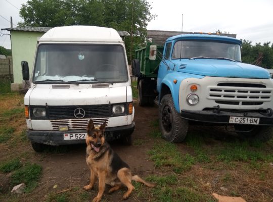 Грузоперевозки, песок, цемент, зерно, вывоз мусора ЗИЛ бус